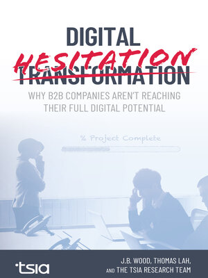 cover image of Digital Hesitation